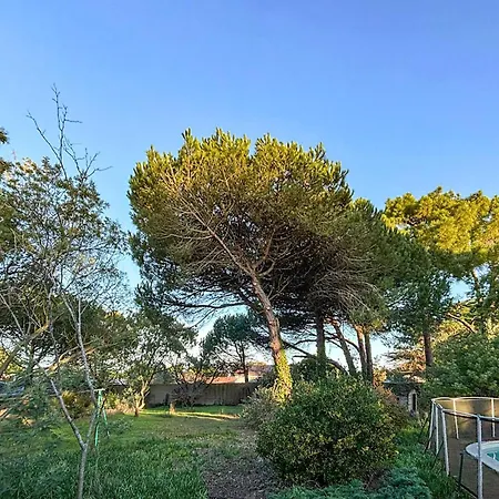 Maison Bord De Avec Vakantiehuis *