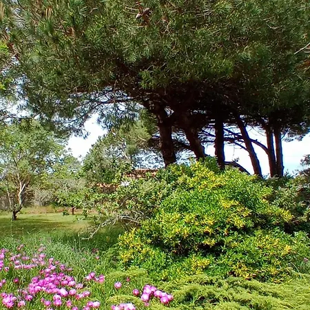 Maison Bord De Avec Сasa de vacaciones