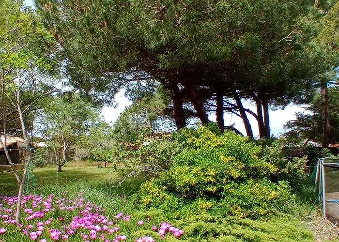 Maison Bord De Avec Сasa de vacaciones